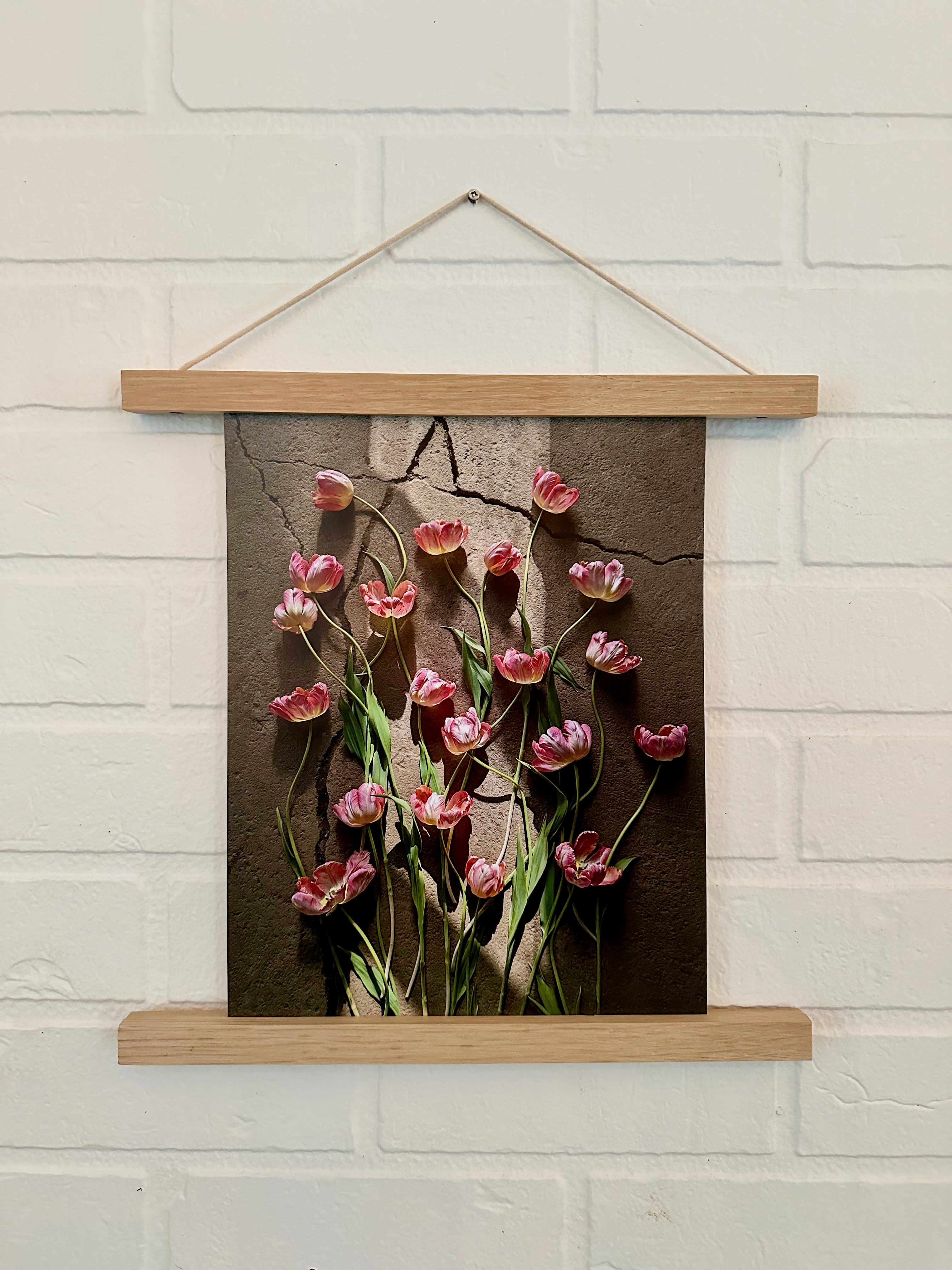 Affiche Tulipes dansantes