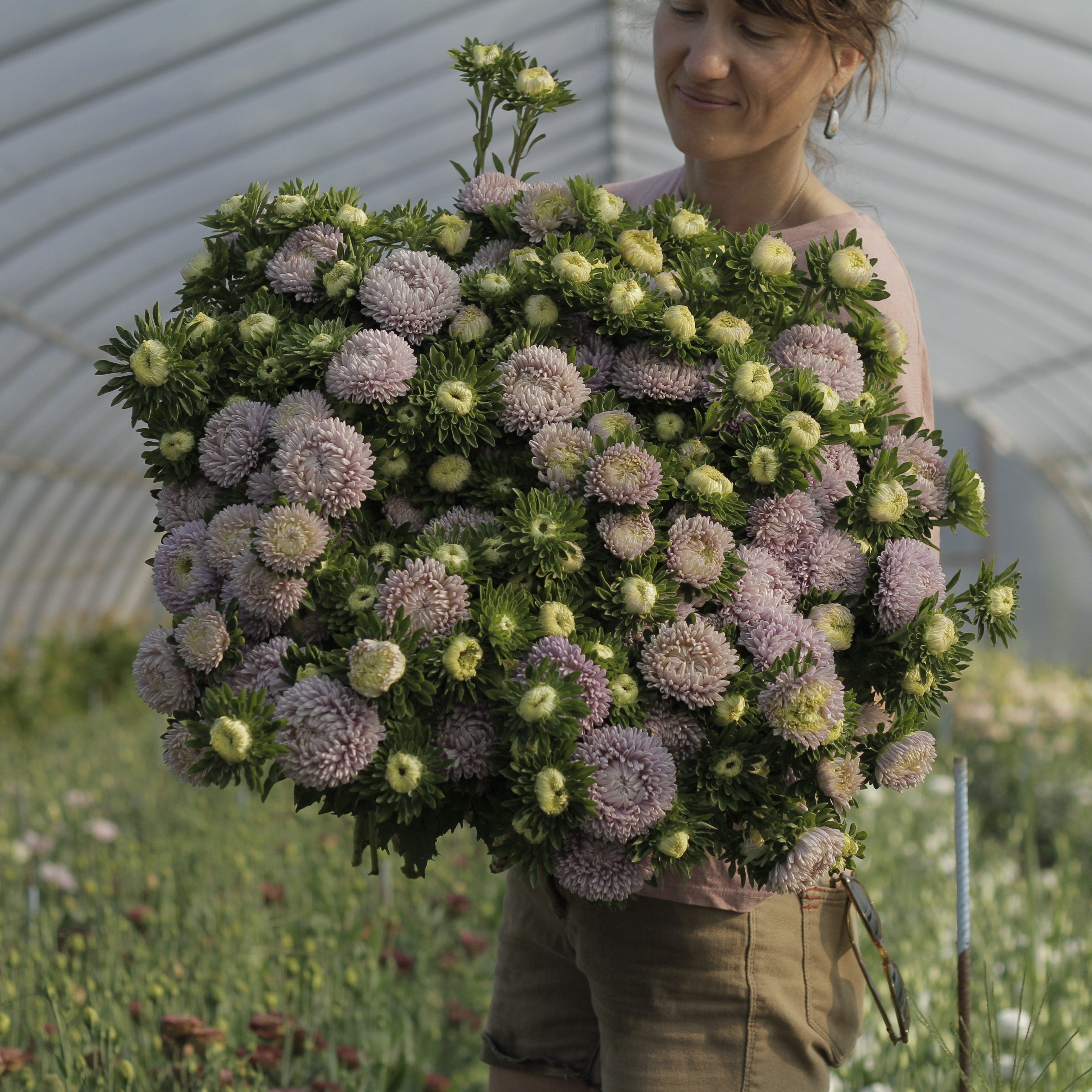 Aster Moonstone